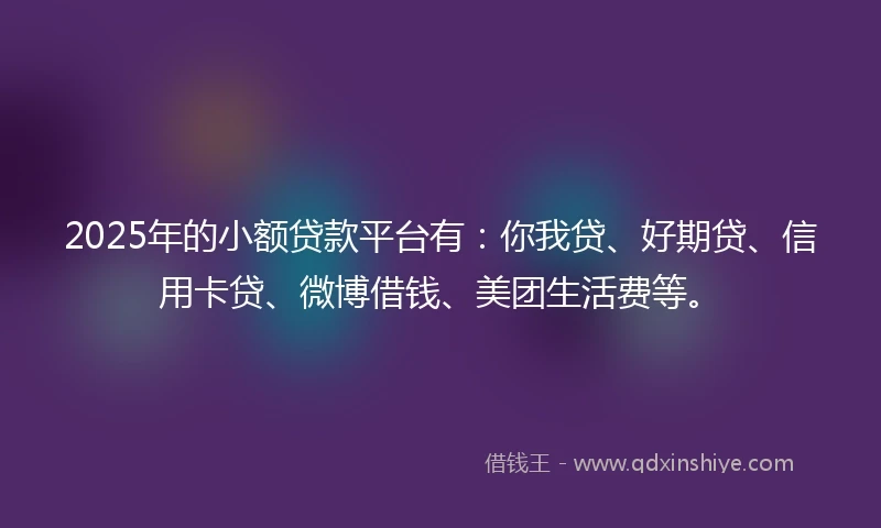 2025年的小额贷款平台有：你我贷、好期贷、信用卡贷、微博借钱、美团生活费等。