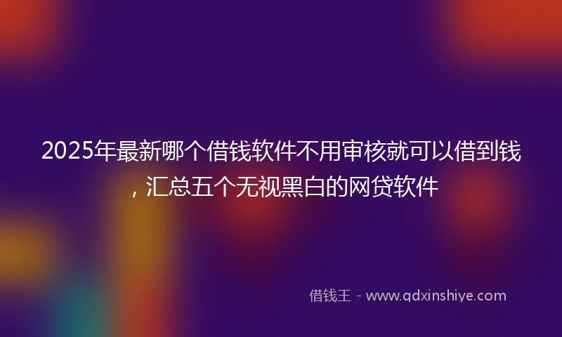 2025年最新哪个借钱软件不用审核就可以借到钱，汇总五个无视黑白的网贷软件