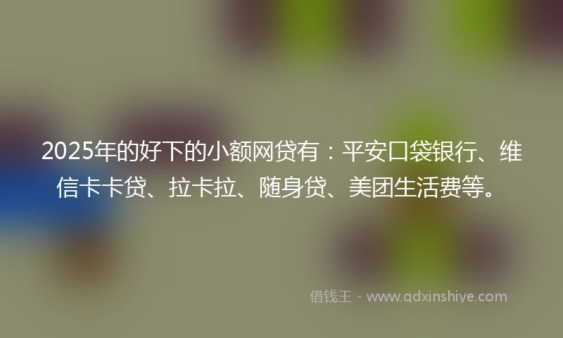 2025年的好下的小额网贷有：平安口袋银行、维信卡卡贷、拉卡拉、随身贷、美团生活费等。