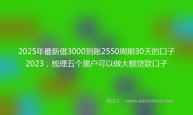 2025年最新借3000到账2550周期30天的口子2023，梳理五个黑户可以做大额贷款口子