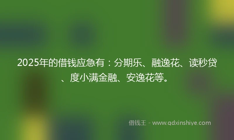 2025年的借钱应急有：分期乐、融逸花、读秒贷、度小满金融、安逸花等。