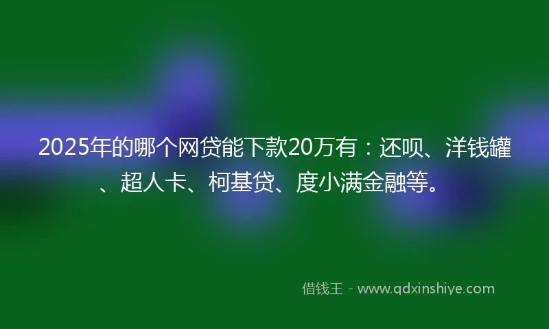 2025年的哪个网贷能下款20万有：还呗、洋钱罐、超人卡、柯基贷、度小满金融等。