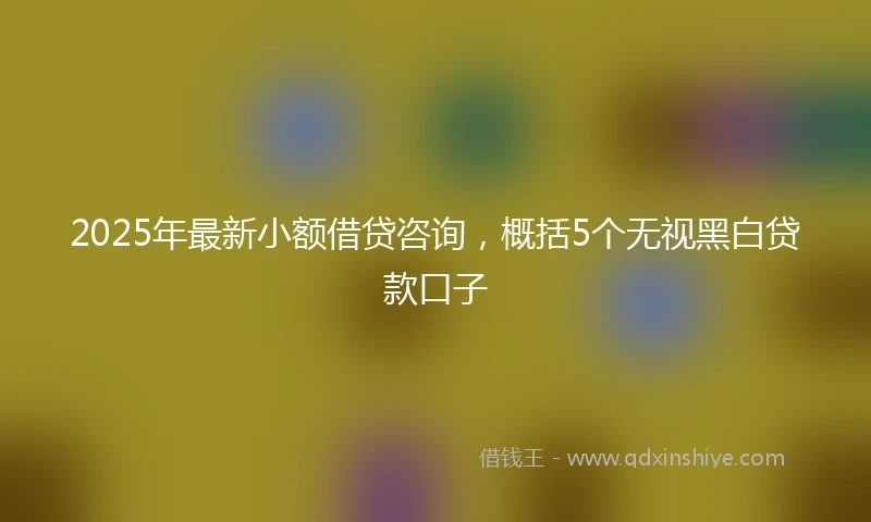 2025年最新小额借贷咨询，概括5个无视黑白贷款口子