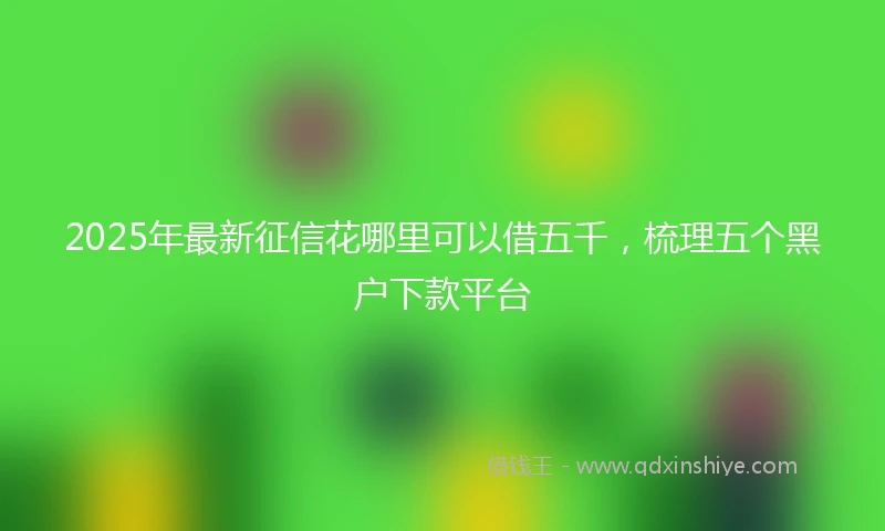 2025年最新征信花哪里可以借五千，梳理五个黑户下款平台