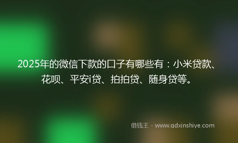 2025年的微信下款的口子有哪些有：小米贷款、花呗、平安i贷、拍拍贷、随身贷等。