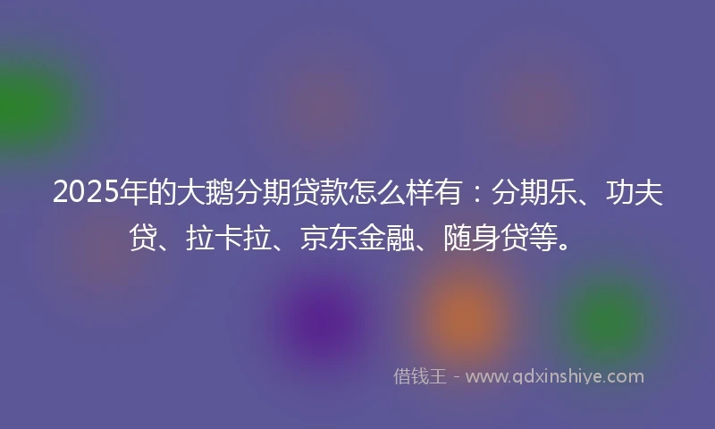 2025年的大鹅分期贷款怎么样有：分期乐、功夫贷、拉卡拉、京东金融、随身贷等。