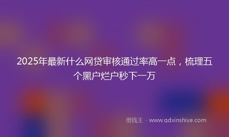 2025年最新什么网贷审核通过率高一点，梳理五个黑户烂户秒下一万
