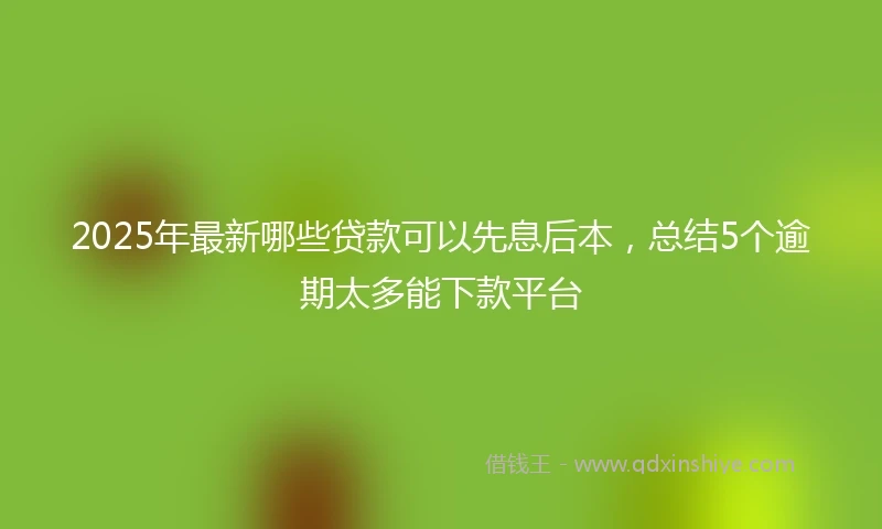 2025年最新哪些贷款可以先息后本，总结5个逾期太多能下款平台