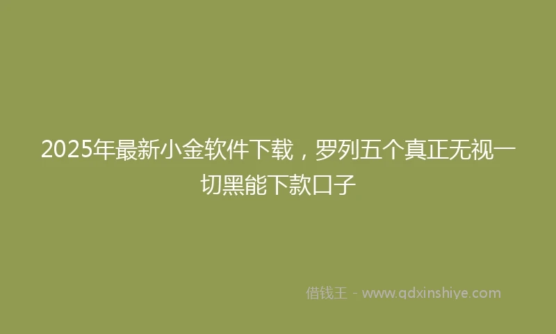 2025年最新小金软件下载，罗列五个真正无视一切黑能下款口子