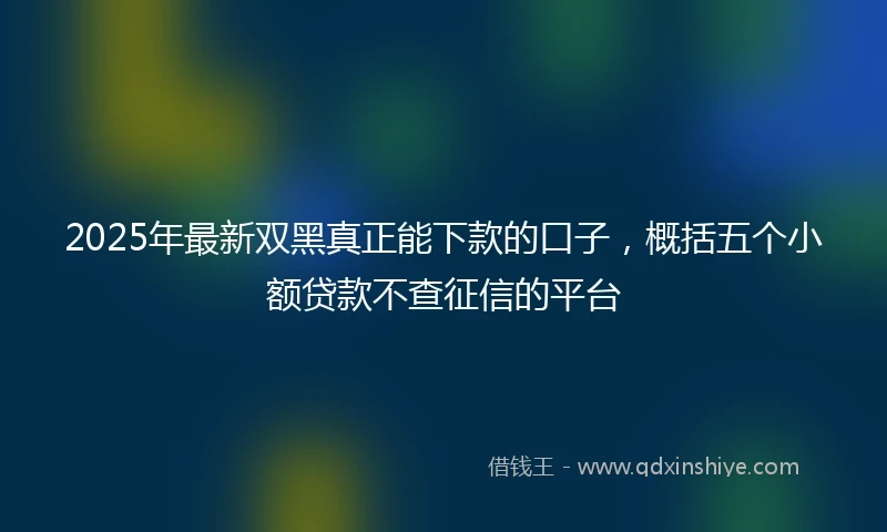 2025年最新双黑真正能下款的口子，概括五个小额贷款不查征信的平台