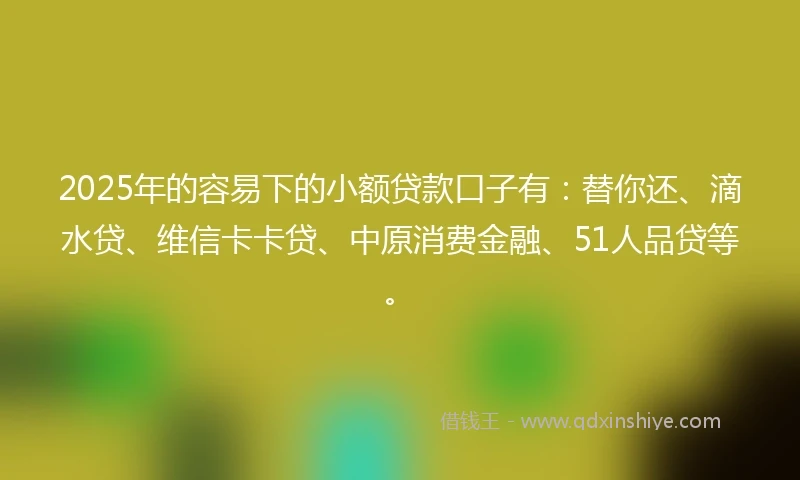 2025年的容易下的小额贷款口子有：替你还、滴水贷、维信卡卡贷、中原消费金融、51人品贷等。
