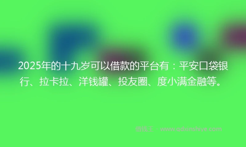 2025年的十九岁可以借款的平台有：平安口袋银行、拉卡拉、洋钱罐、投友圈、度小满金融等。