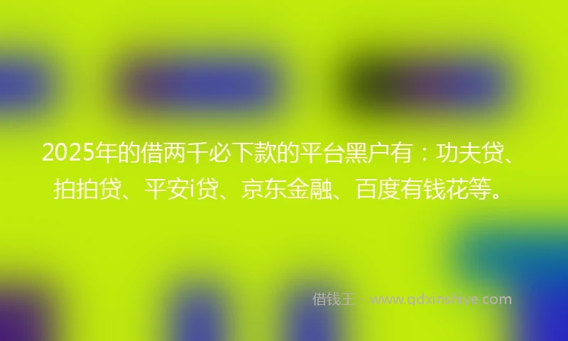 2025年的借两千必下款的平台黑户有：功夫贷、拍拍贷、平安i贷、京东金融、百度有钱花等。