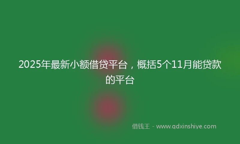 2025年最新小额借贷平台，概括5个11月能贷款的平台