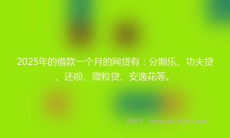 2025年的借款一个月的网贷有：分期乐、功夫贷、还呗、微粒贷、安逸花等。