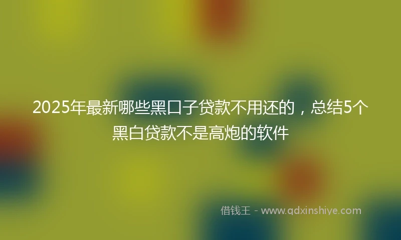 2025年最新哪些黑口子贷款不用还的，总结5个黑白贷款不是高炮的软件