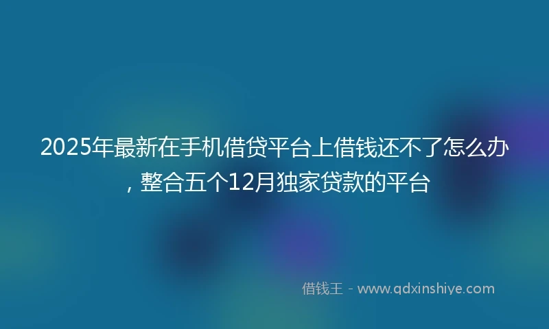 2025年最新在手机借贷平台上借钱还不了怎么办，整合五个12月独家贷款的平台