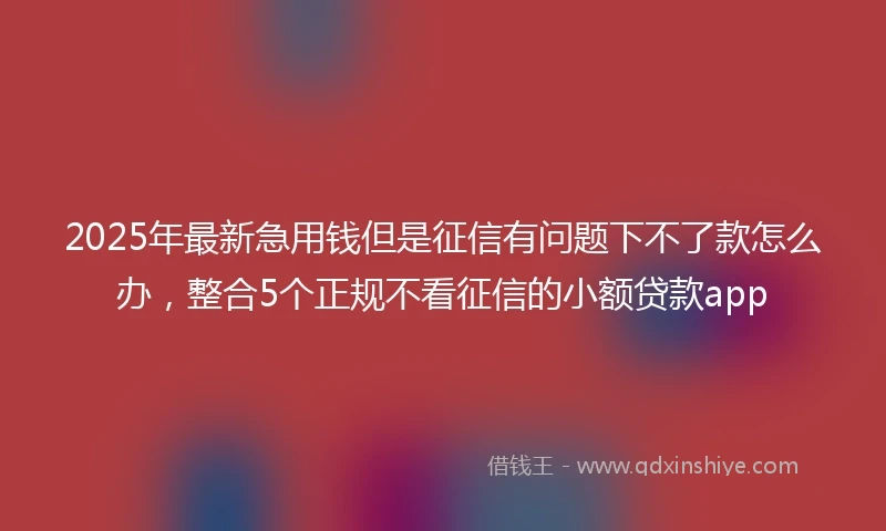 2025年最新急用钱但是征信有问题下不了款怎么办，整合5个正规不看征信的小额贷款app