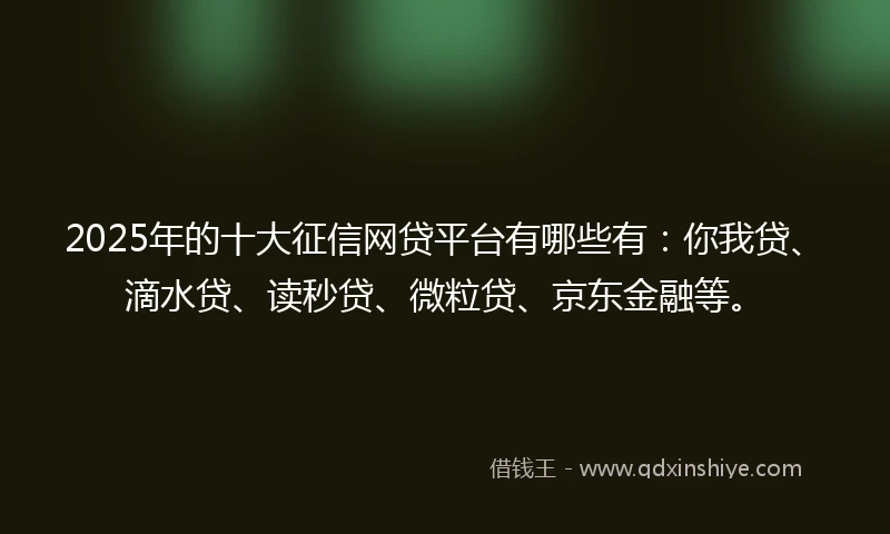 2025年的十大征信网贷平台有哪些有：你我贷、滴水贷、读秒贷、微粒贷、京东金融等。