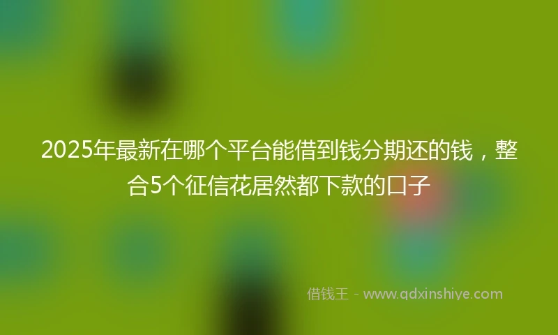2025年最新在哪个平台能借到钱分期还的钱，整合5个征信花居然都下款的口子
