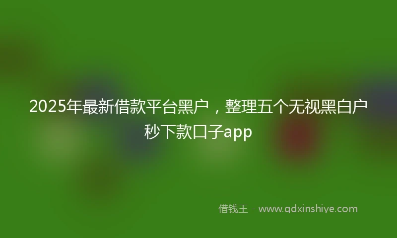 2025年最新借款平台黑户，整理五个无视黑白户秒下款口子app