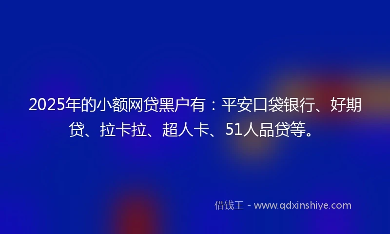 2025年的小额网贷黑户有：平安口袋银行、好期贷、拉卡拉、超人卡、51人品贷等。