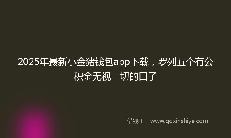2025年最新小金猪钱包app下载，罗列五个有公积金无视一切的口子