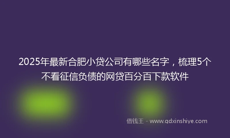 2025年最新合肥小贷公司有哪些名字，梳理5个不看征信负债的网贷百分百下款软件