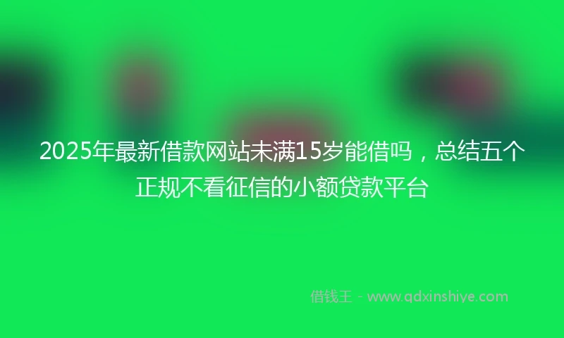 2025年最新借款网站未满15岁能借吗，总结五个正规不看征信的小额贷款平台