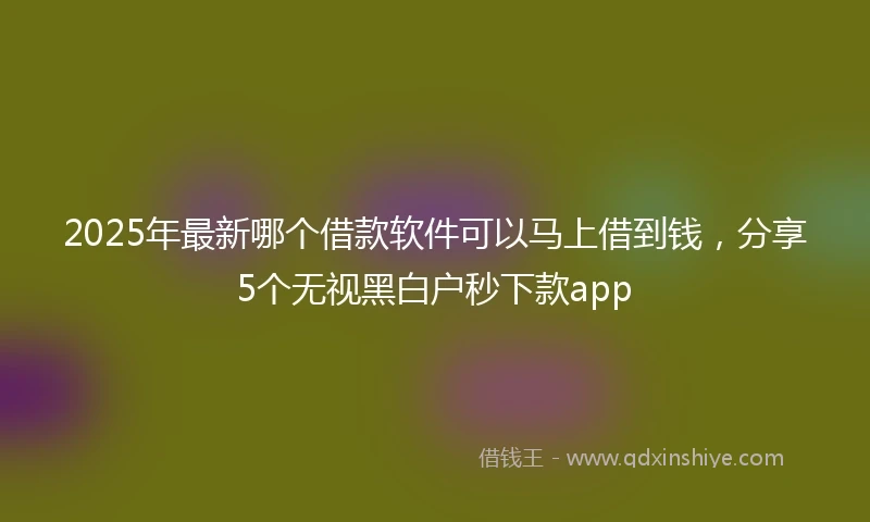 2025年最新哪个借款软件可以马上借到钱，分享5个无视黑白户秒下款app
