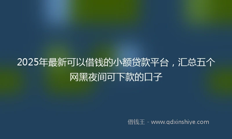 2025年最新可以借钱的小额贷款平台，汇总五个网黑夜间可下款的口子