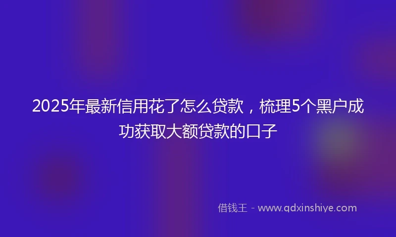 2025年最新信用花了怎么贷款，梳理5个黑户成功获取大额贷款的口子