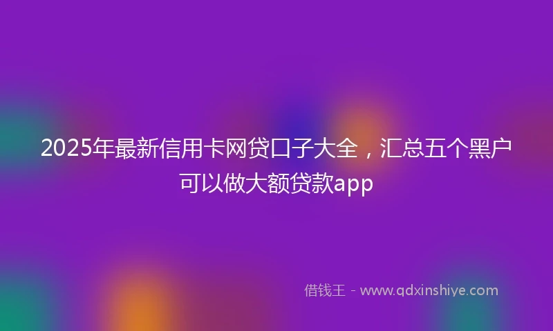 2025年最新信用卡网贷口子大全，汇总五个黑户可以做大额贷款app