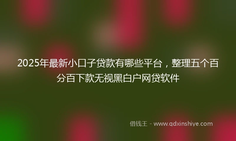 2025年最新小口子贷款有哪些平台，整理五个百分百下款无视黑白户网贷软件