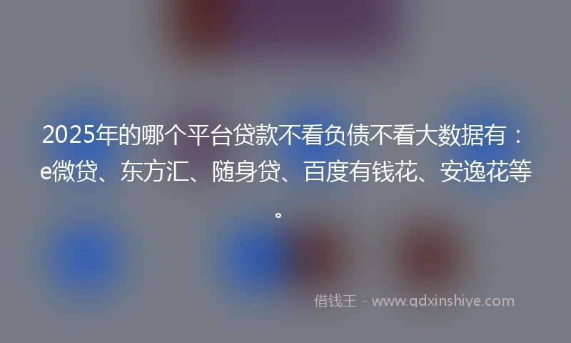 2025年的哪个平台贷款不看负债不看大数据有：e微贷、东方汇、随身贷、百度有钱花、安逸花等。