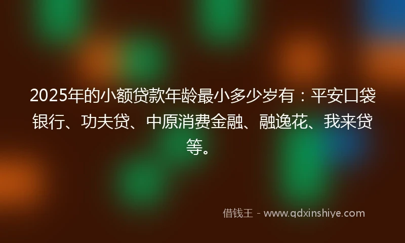 2025年的小额贷款年龄最小多少岁有：平安口袋银行、功夫贷、中原消费金融、融逸花、我来贷等。