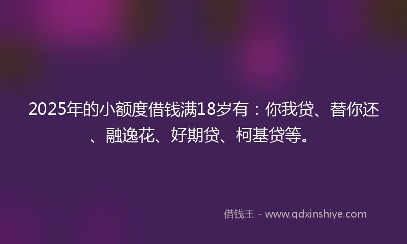 2025年的小额度借钱满18岁有：你我贷、替你还、融逸花、好期贷、柯基贷等。