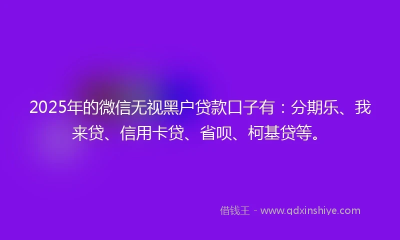 2025年的微信无视黑户贷款口子有：分期乐、我来贷、信用卡贷、省呗、柯基贷等。