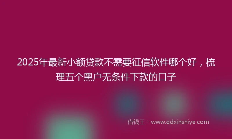 2025年最新小额贷款不需要征信软件哪个好，梳理五个黑户无条件下款的口子