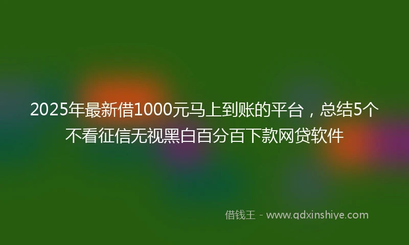 2025年最新借1000元马上到账的平台，总结5个不看征信无视黑白百分百下款网贷软件