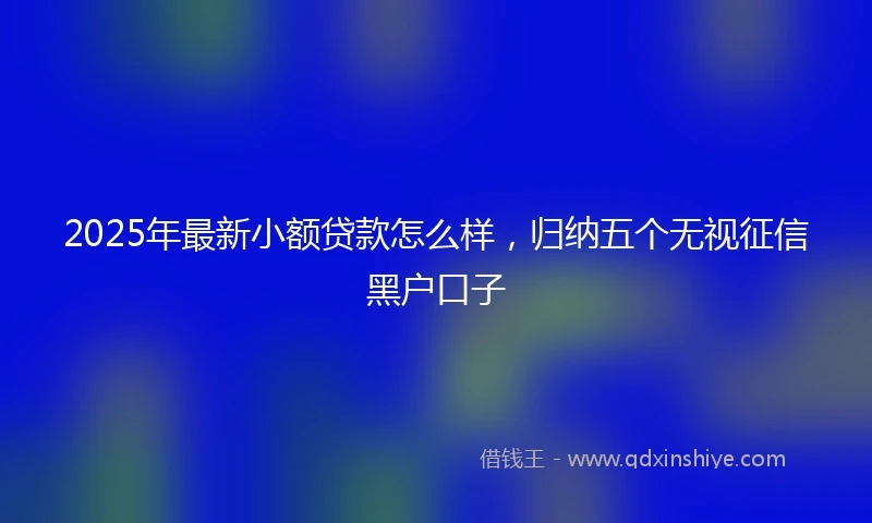 2025年最新小额贷款怎么样，归纳五个无视征信黑户口子