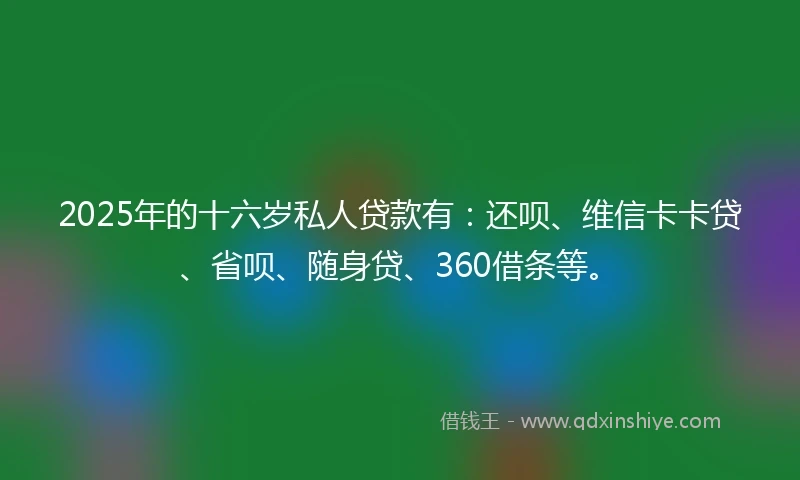 2025年的十六岁私人贷款有：还呗、维信卡卡贷、省呗、随身贷、360借条等。
