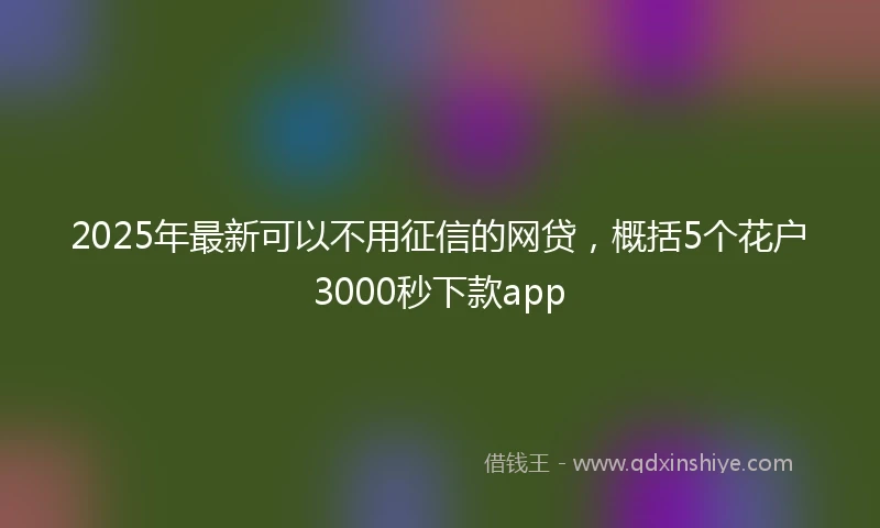 2025年最新可以不用征信的网贷，概括5个花户3000秒下款app