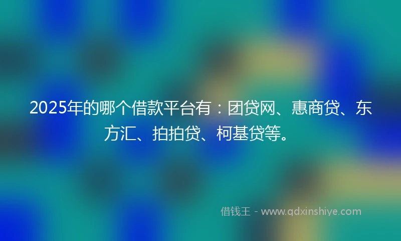2025年的哪个借款平台有：团贷网、惠商贷、东方汇、拍拍贷、柯基贷等。