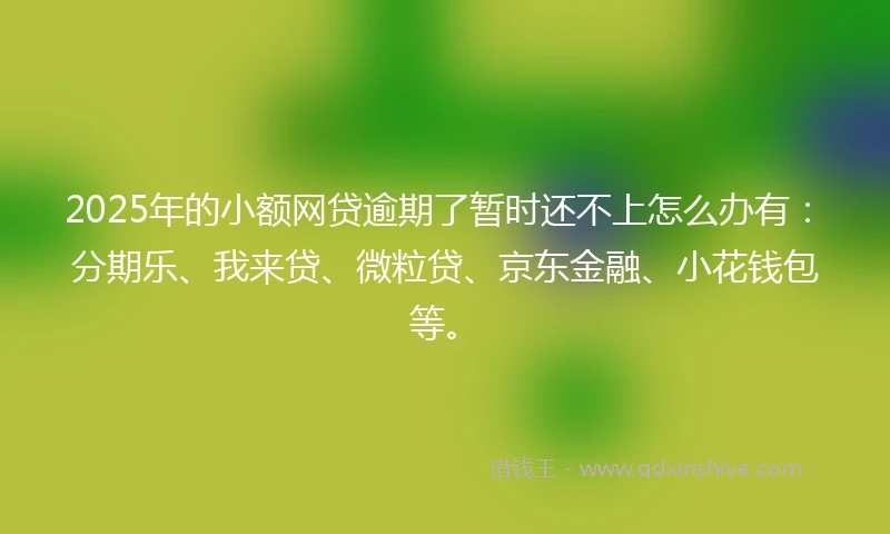 2025年的小额网贷逾期了暂时还不上怎么办有：分期乐、我来贷、微粒贷、京东金融、小花钱包等。