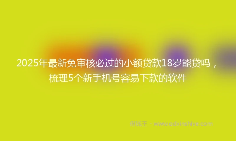 2025年最新免审核必过的小额贷款18岁能贷吗，梳理5个新手机号容易下款的软件
