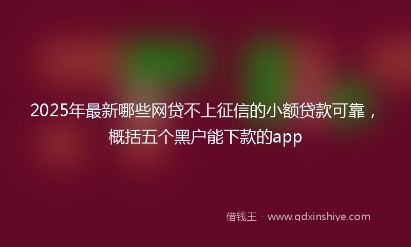 2025年最新哪些网贷不上征信的小额贷款可靠，概括五个黑户能下款的app