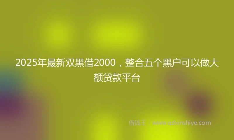 2025年最新双黑借2000，整合五个黑户可以做大额贷款平台