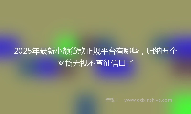 2025年最新小额贷款正规平台有哪些，归纳五个网贷无视不查征信口子