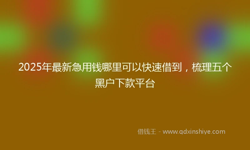 2025年最新急用钱哪里可以快速借到，梳理五个黑户下款平台